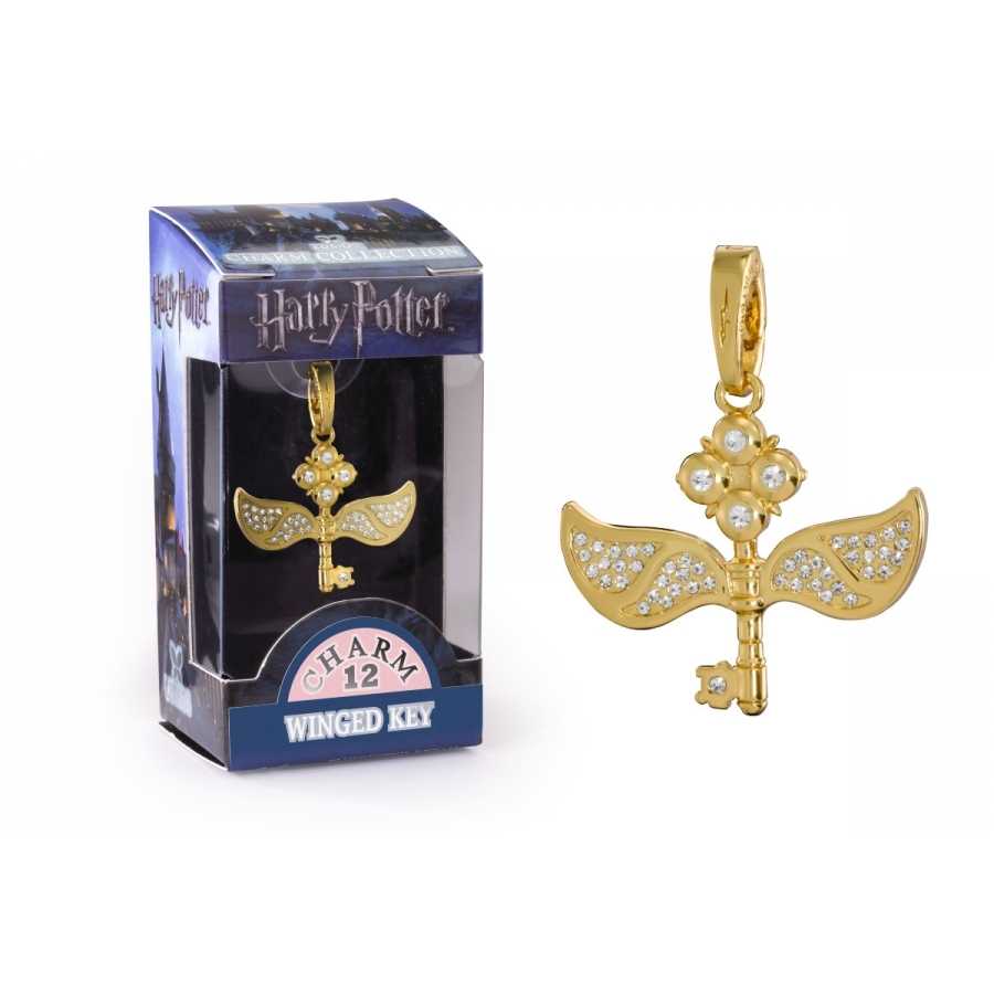 Fliegender Schlüssel - Charme Lumos - Harry Potter