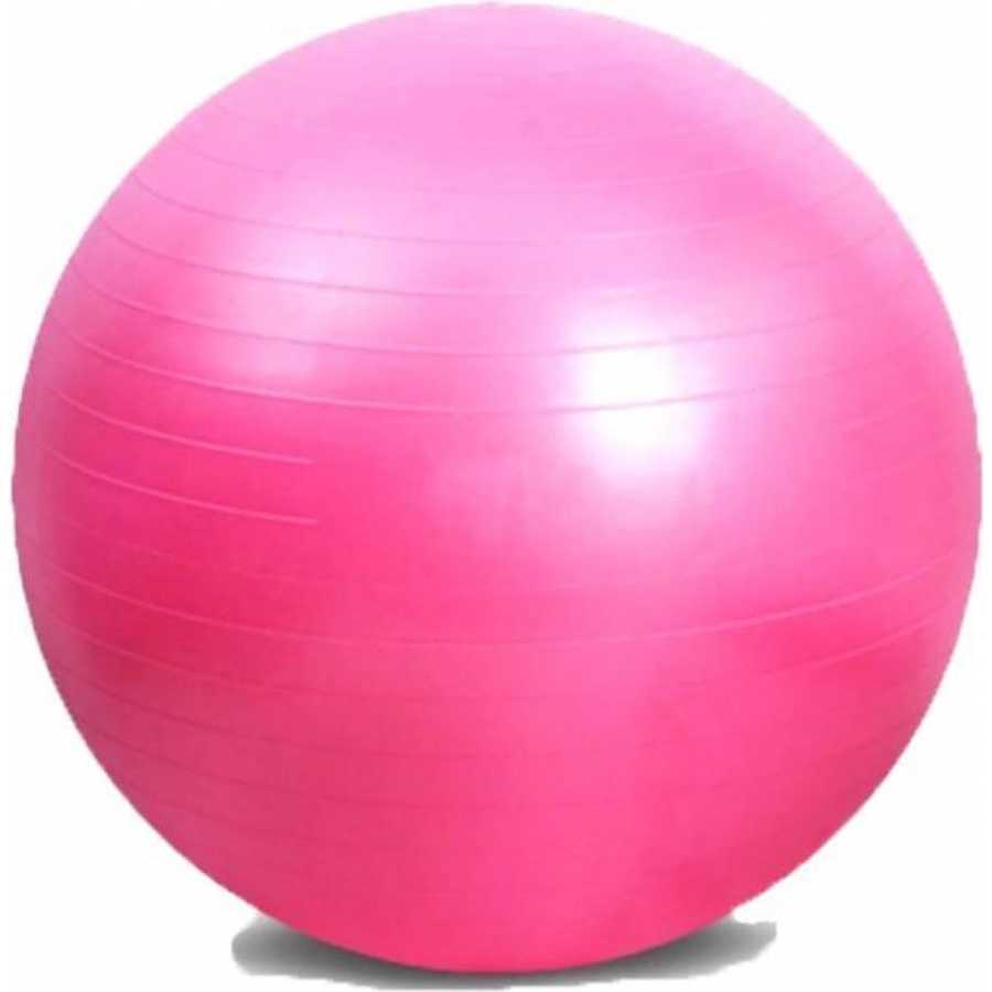 Yogaball Rosa
