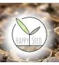 Happy Seed